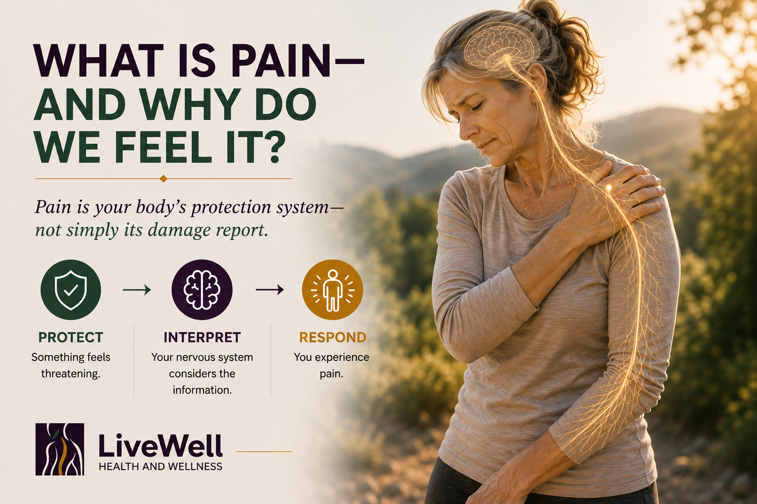 What Is Pain - And Why Do We Feel It?